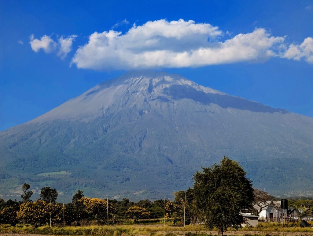 Mount Meru's volcanic cone under a blue sky with a cloud above the summit, seen across trees and farm buildings near Arusha