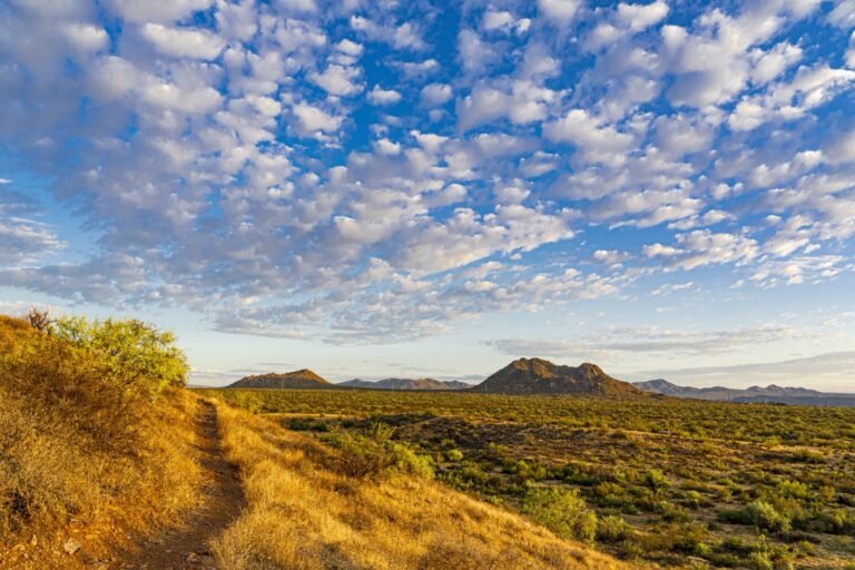 Narrow footpath through golden dry grass across a wide open plain, with isolated hills on the horizon under a sky of small white clouds