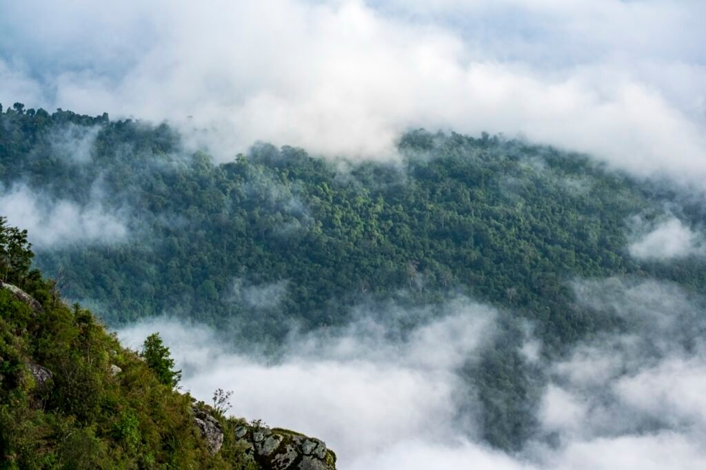 Forested mountain ridge partly hidden by low cloud and mist, seen from a rocky cliff edge